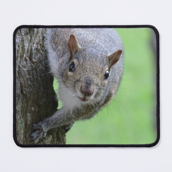 Item preview, Cute Squirrel #0048 designed and sold by Jeffrey Mask.