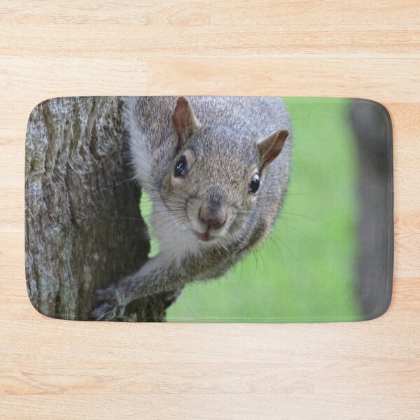 Item preview, Cute Squirrel #0048 designed and sold by Jeffrey Mask.