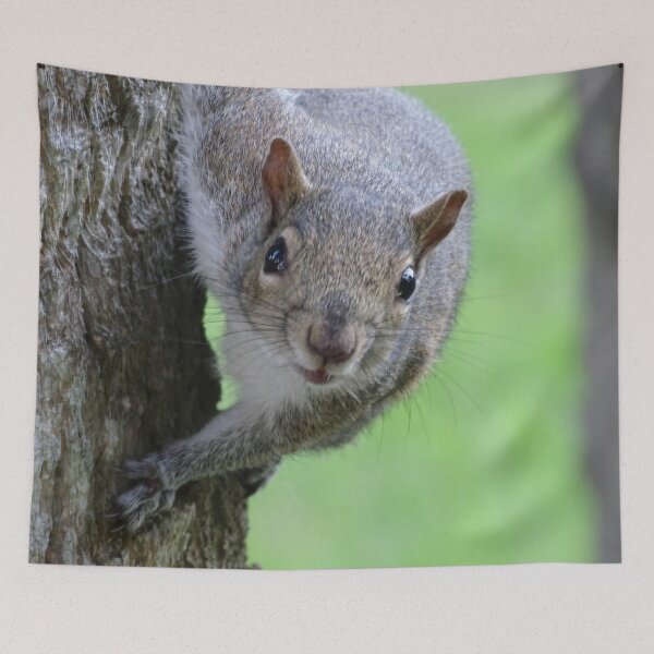 Item preview, Cute Squirrel #0048 designed and sold by Jeffrey Mask.