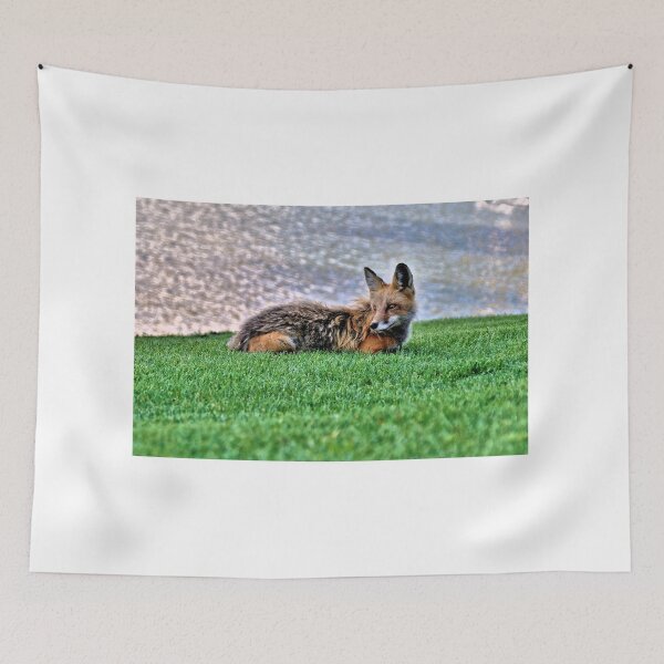 Item preview, Gray Fox - Montana designed and sold by jtrommer.