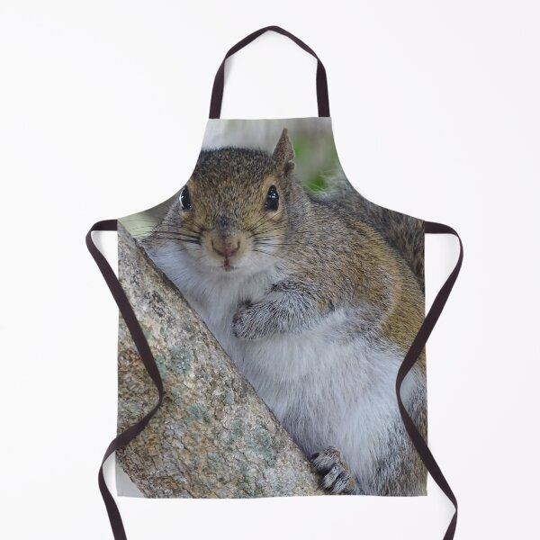 Item preview, Cute Squirrel #0049 designed and sold by Jeffrey Mask.