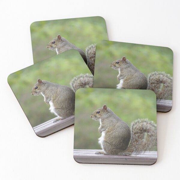 Item preview, Cute Squirrel #0050 designed and sold by Jeffrey Mask.