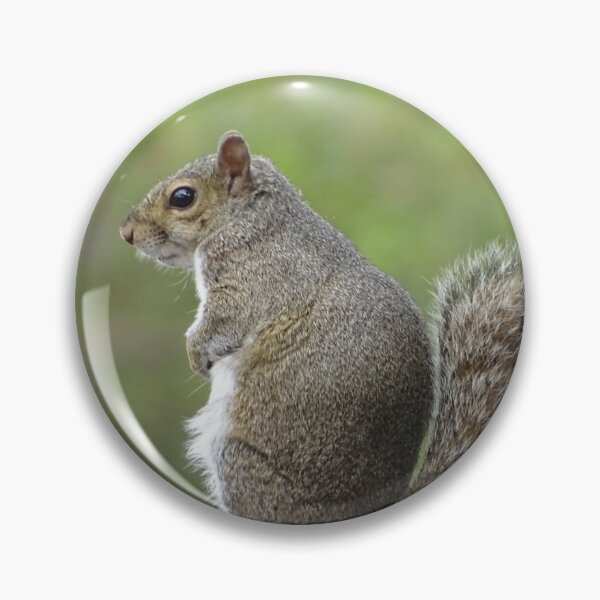 Item preview, Cute Squirrel #0050 designed and sold by Jeffrey Mask.