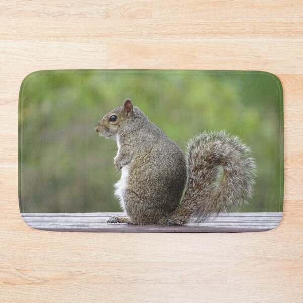 Item preview, Cute Squirrel #0050 designed and sold by Jeffrey Mask.