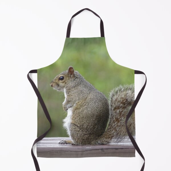 Item preview, Cute Squirrel #0050 designed and sold by Jeffrey Mask.