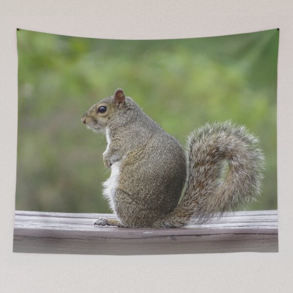 Item preview, Cute Squirrel #0050 designed and sold by Jeffrey Mask.