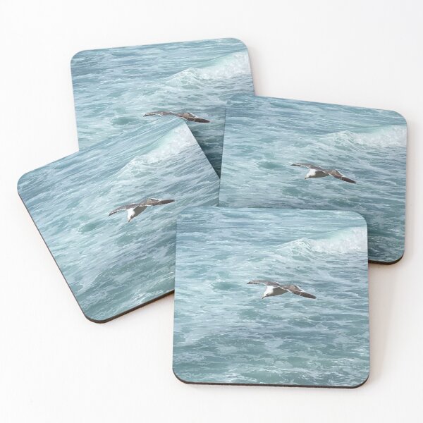 Aperçu de l'œuvre La Jolla Seagull de Mark Ewing créée et vendue par LifeSpice.