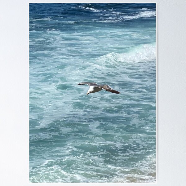 Item preview, La Jolla Seagull by Mark Ewing designed and sold by LifeSpice.