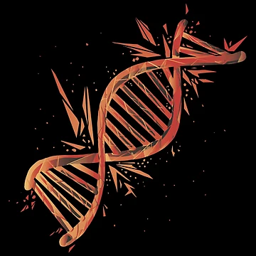 Artwork thumbnail, DNA chain  by 1White-Rabbit