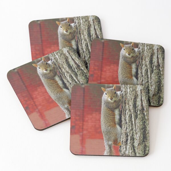 Item preview, Cute Squirrel #0051 designed and sold by Jeffrey Mask.