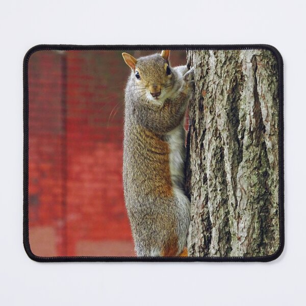 Item preview, Cute Squirrel #0051 designed and sold by Jeffrey Mask.