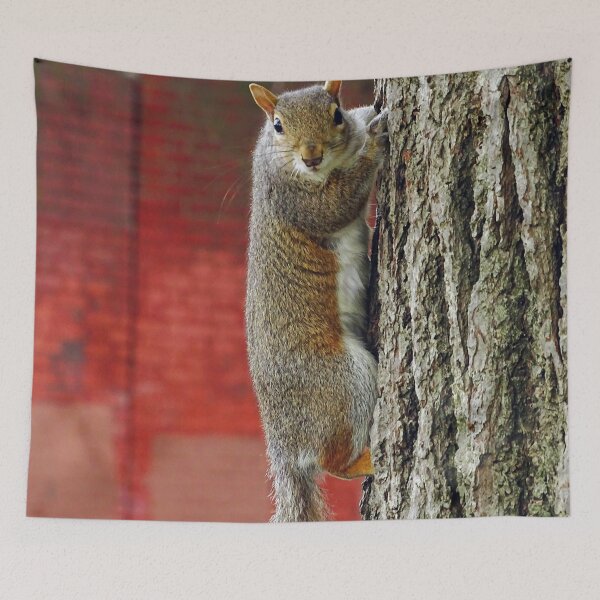 Item preview, Cute Squirrel #0051 designed and sold by Jeffrey Mask.