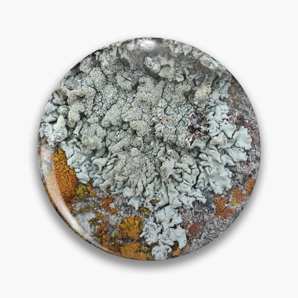 Item preview, Lichen and moss rock Colorado by Mark Ewing designed and sold by LifeSpice.