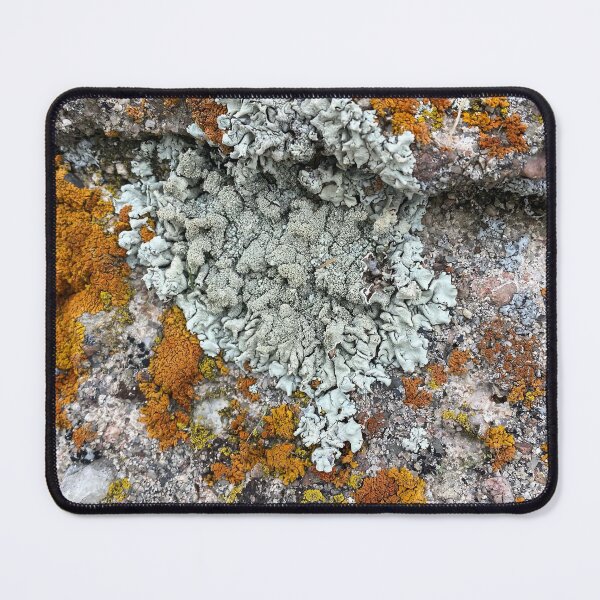 Item preview, Lichen and moss rock Colorado by Mark Ewing designed and sold by LifeSpice.