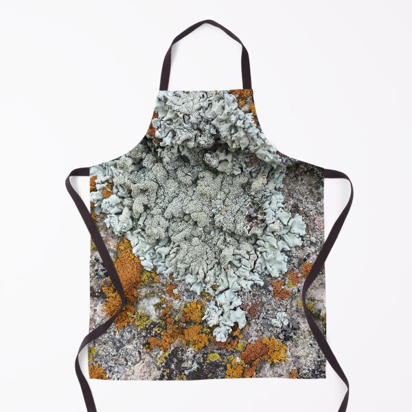 Item preview, Lichen and moss rock Colorado by Mark Ewing designed and sold by LifeSpice.