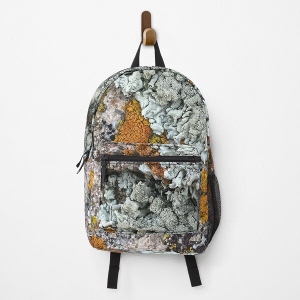 Item preview, Lichen and moss rock Colorado by Mark Ewing designed and sold by LifeSpice.