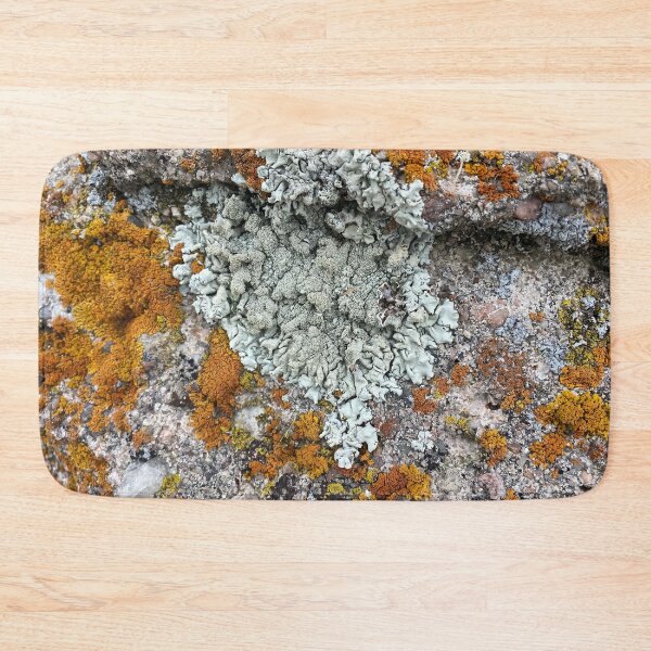 Item preview, Lichen and moss rock Colorado by Mark Ewing designed and sold by LifeSpice.