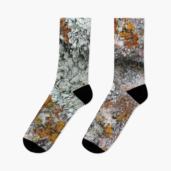 Item preview, Lichen and moss rock Colorado by Mark Ewing designed and sold by LifeSpice.