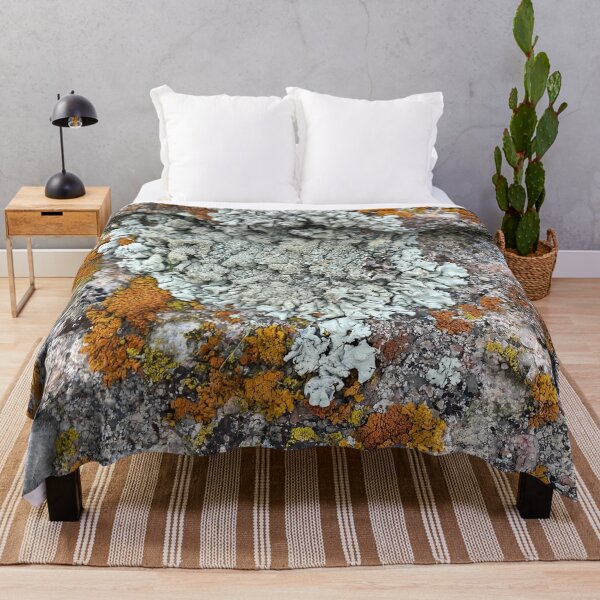 Item preview, Lichen and moss rock Colorado by Mark Ewing designed and sold by LifeSpice.