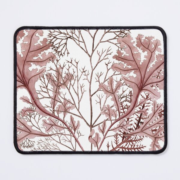 Item preview, Vintage Algae botanicals designed and sold by Miss-Belle.