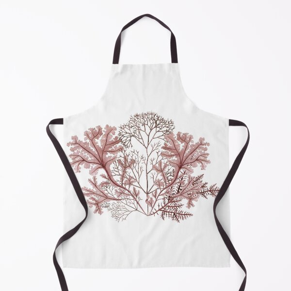 Item preview, Vintage Algae botanicals designed and sold by Miss-Belle.