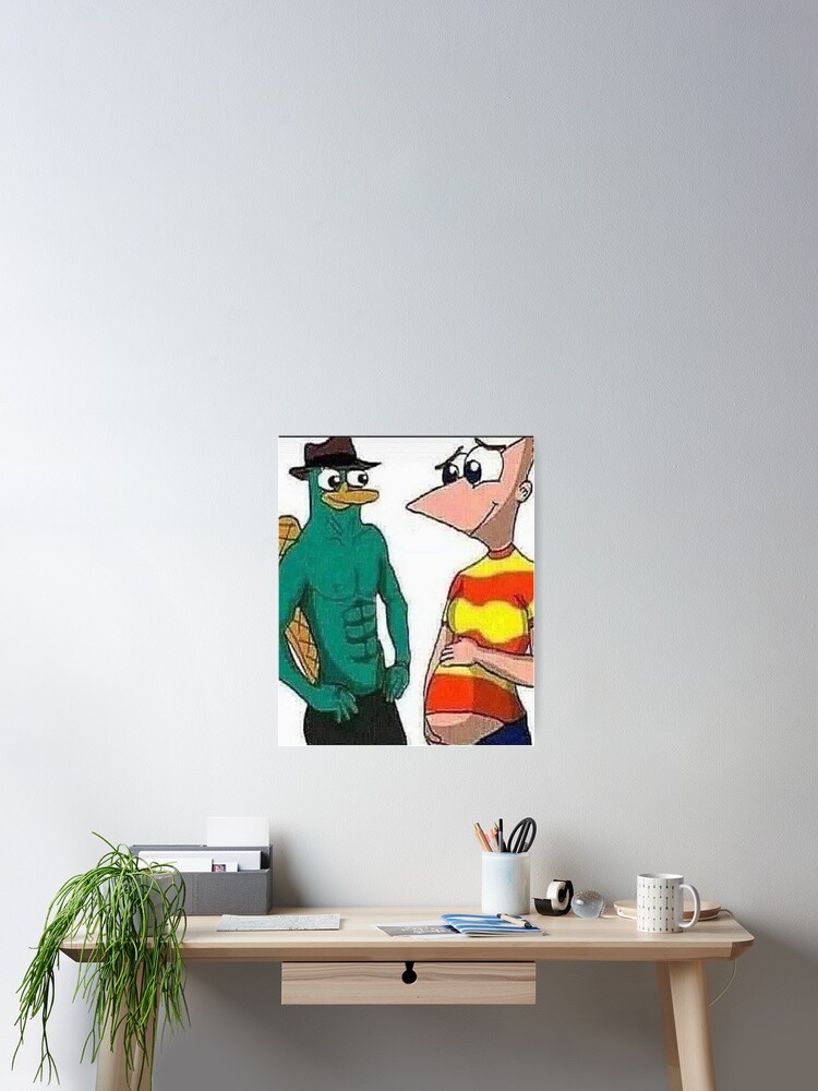 Pregnant Phineas Meme  Poster