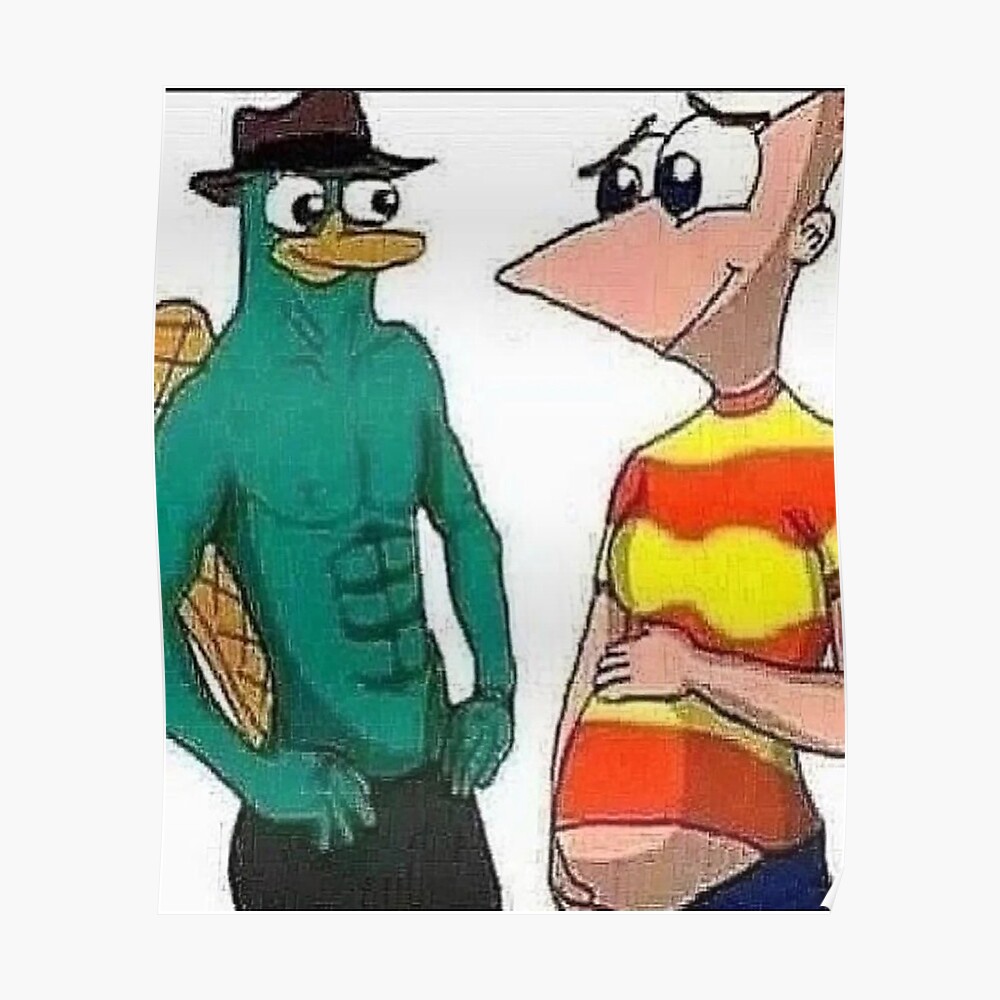 Perry the platypus pregnant