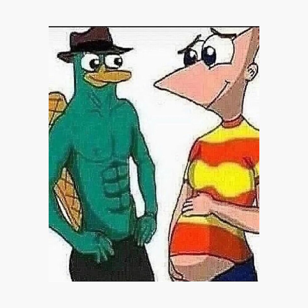 Pregnant Phineas Meme  Poster