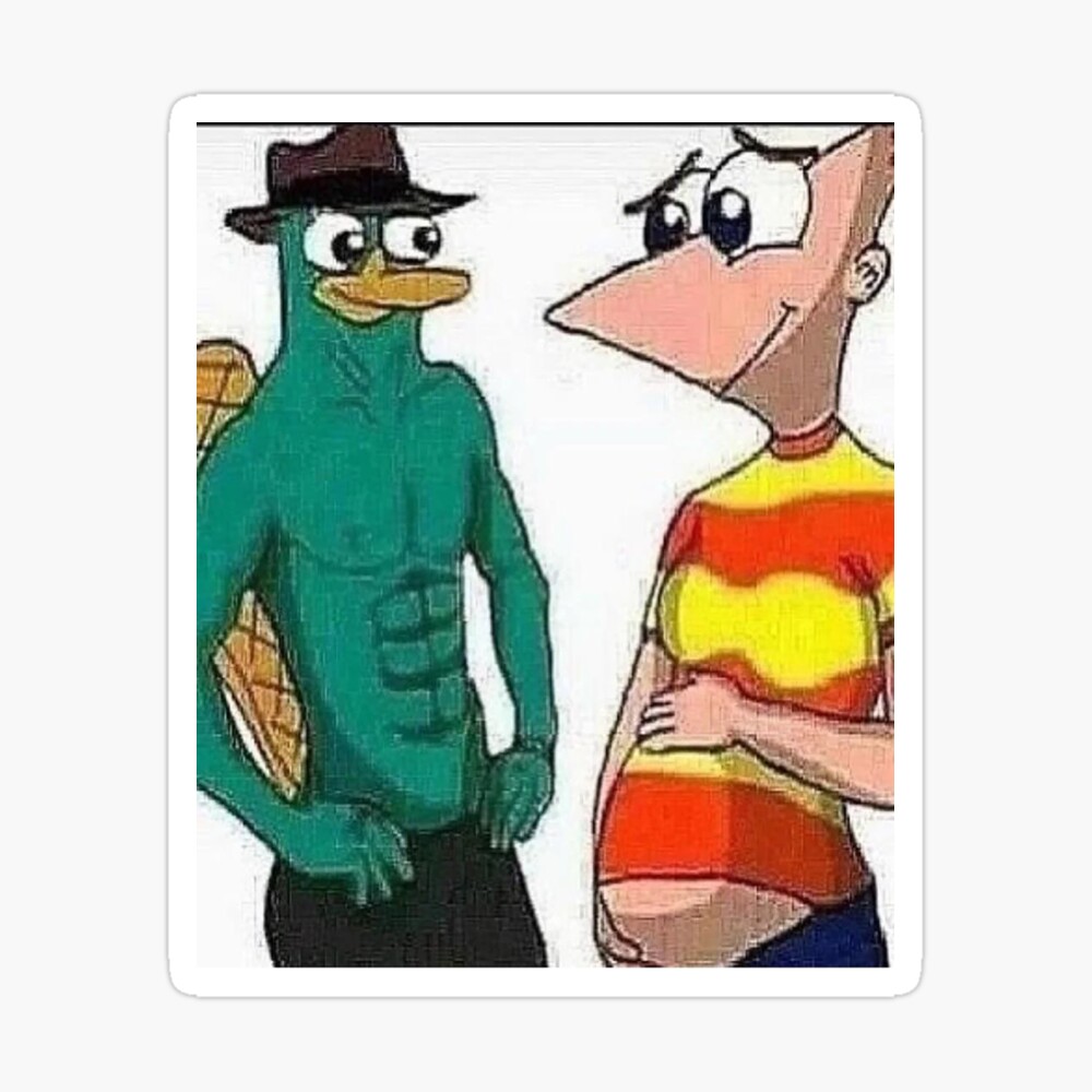 Pregnant Phineas Meme  Poster