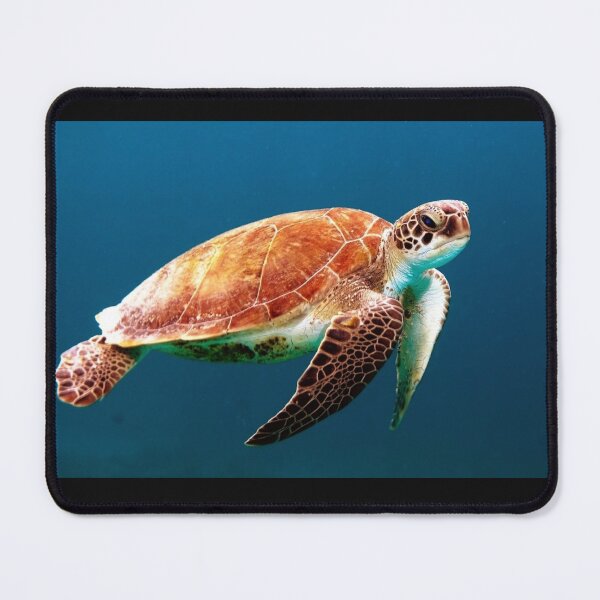 Item preview, Sea Turtle Photograph designed and sold by bayberrygal.