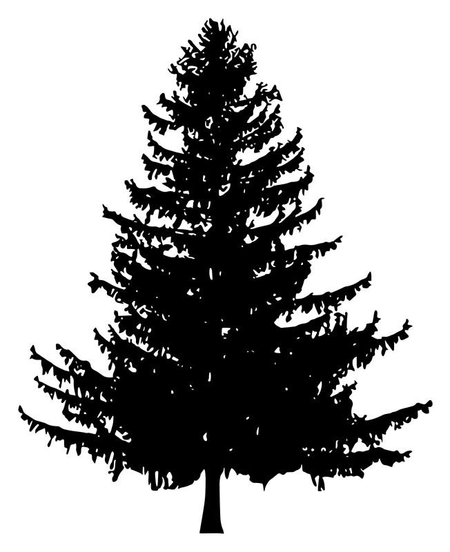 Download "Pine Tree Silhouette" by katedill0n | Redbubble