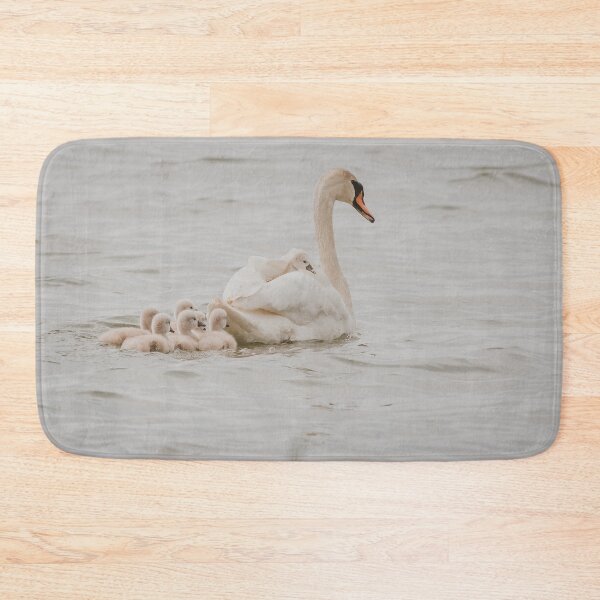 Item preview, Swan Family Photograph designed and sold by dev11588.