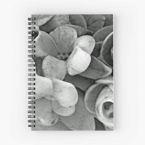 Item preview, Stone Flowers designed and sold by Ethna Gillespie.