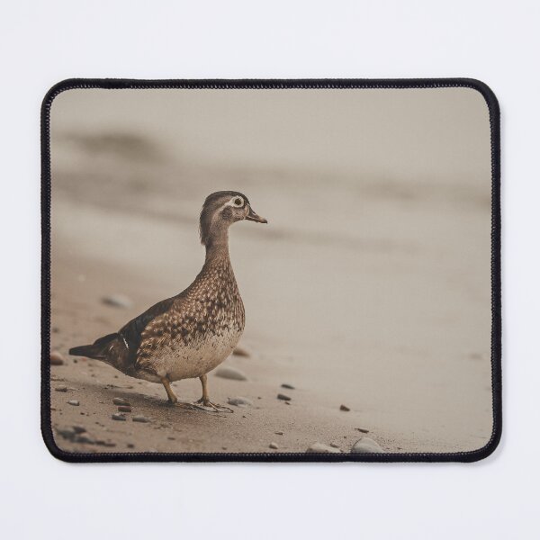 Item preview, Female Wood Duck Photograph designed and sold by dev11588.