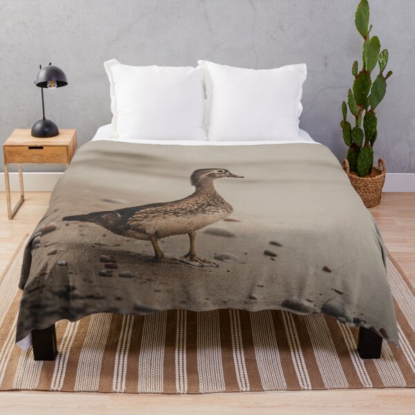 Item preview, Female Wood Duck Photograph designed and sold by dev11588.