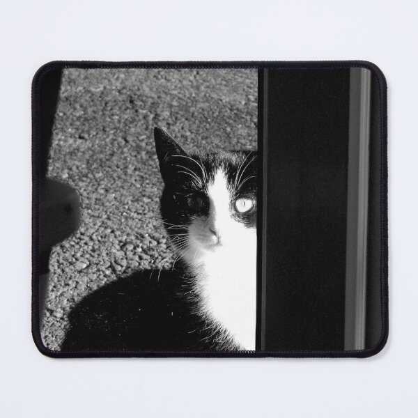 Item preview, Black & white Cat designed and sold by ART22.