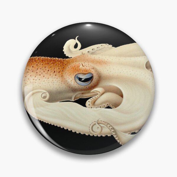 Item preview, The Angel octopus, (Velodona togata) designed and sold by TeeARTHY.