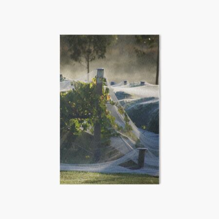 Netted vine - Magpie Springs - Adelaide Hills Wine Region - Fleurieu Peninsula - Winery Art Board Print