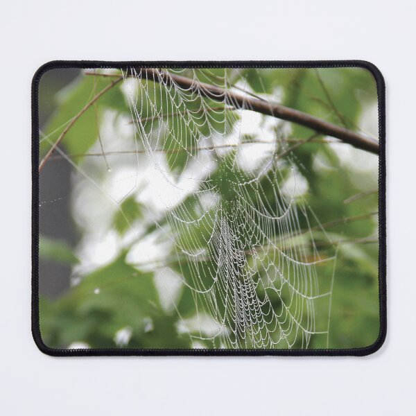 Item preview, Spider web heavy with morning dew designed and sold by Rennie Palmer.