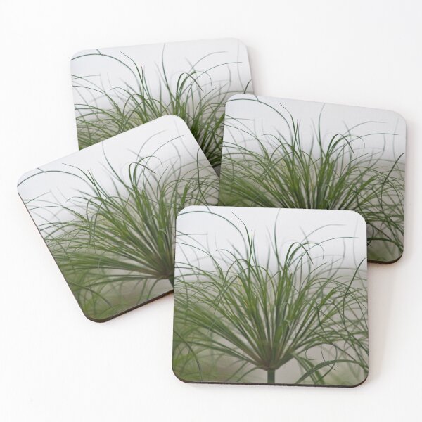 Item preview, Papyrus In The Fog  designed and sold by Sandra Foster.