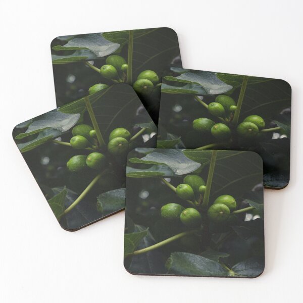 Item preview, Fig tree in summer designed and sold by TheNinthMemory.