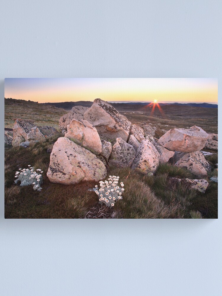 Thumbnail 2 of 3, Canvas Print, Mt Kosciusko Summer Dawn designed and sold by Michael Boniwell.