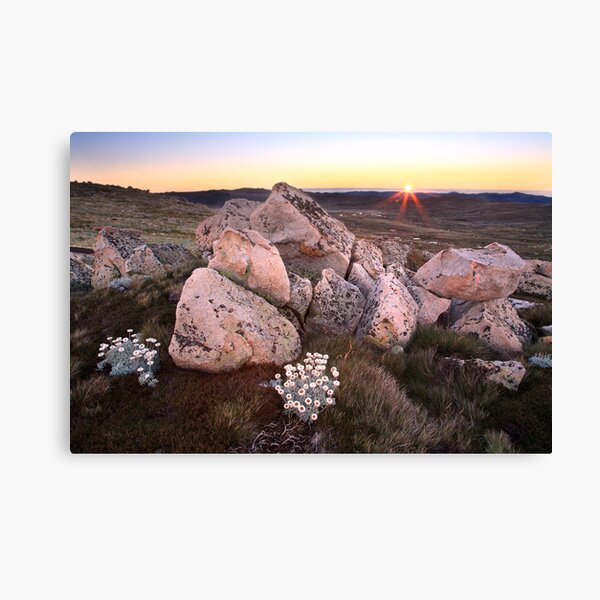 Mt Kosciusko Summer Dawn Canvas Print