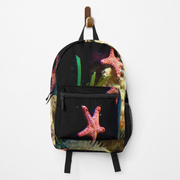Item preview, Sea Stars in Sydney Aquarium designed and sold by KazM.
