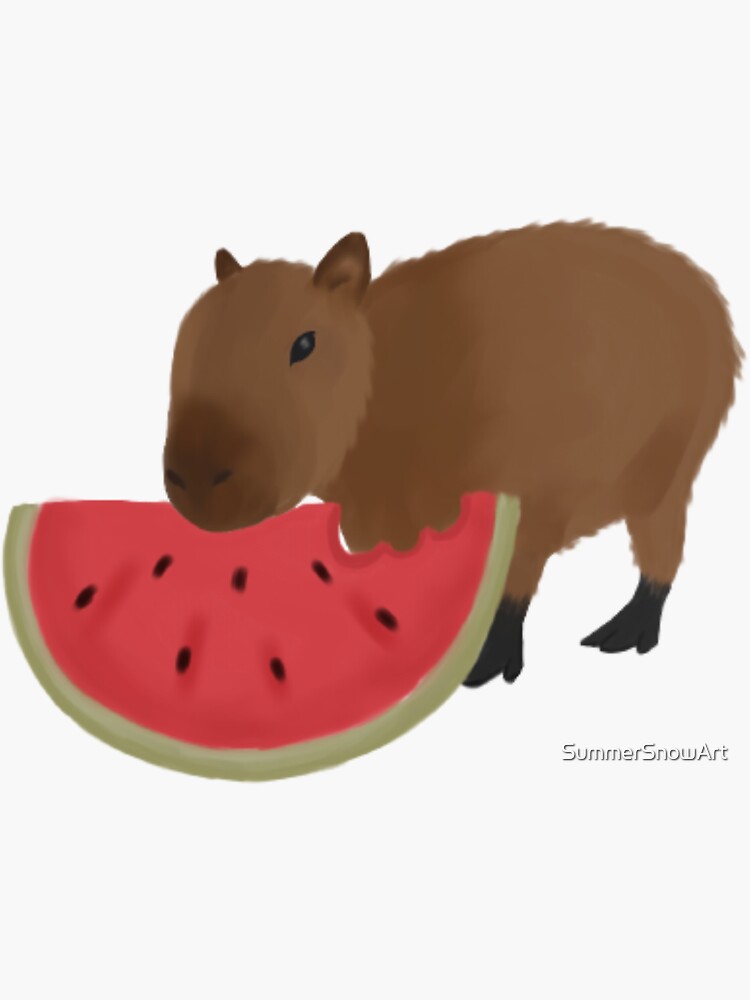 Capybara Eating Watermelon Sticker For Sale By Summersnowart Redbubble