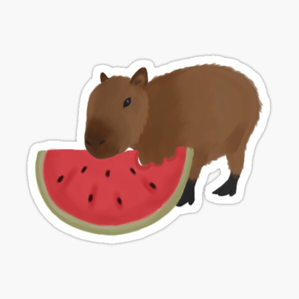 Capybara and watermelon.