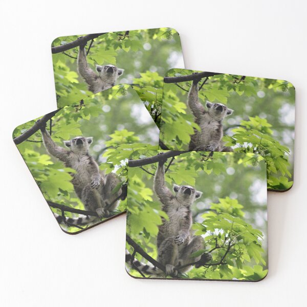 Item preview, Ring Tailed Lemur Up A Tree designed and sold by Ladymoose.