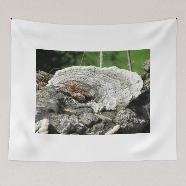 Item preview, Bracket Fungi designed and sold by lezvee.