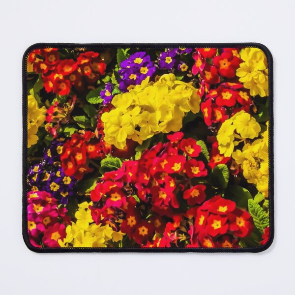 Item preview, Flowers, Primula plants. designed and sold by Bumpulous.