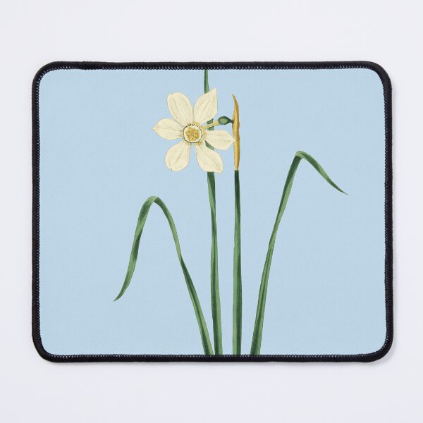 Item preview, Beautiful White Narcissus Flower designed and sold by BrightMint.